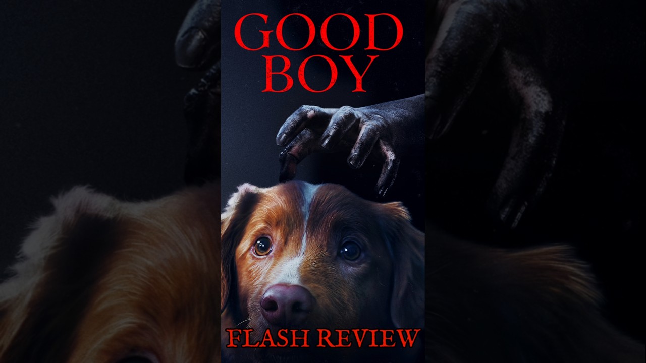 Flash Review Good Boy 