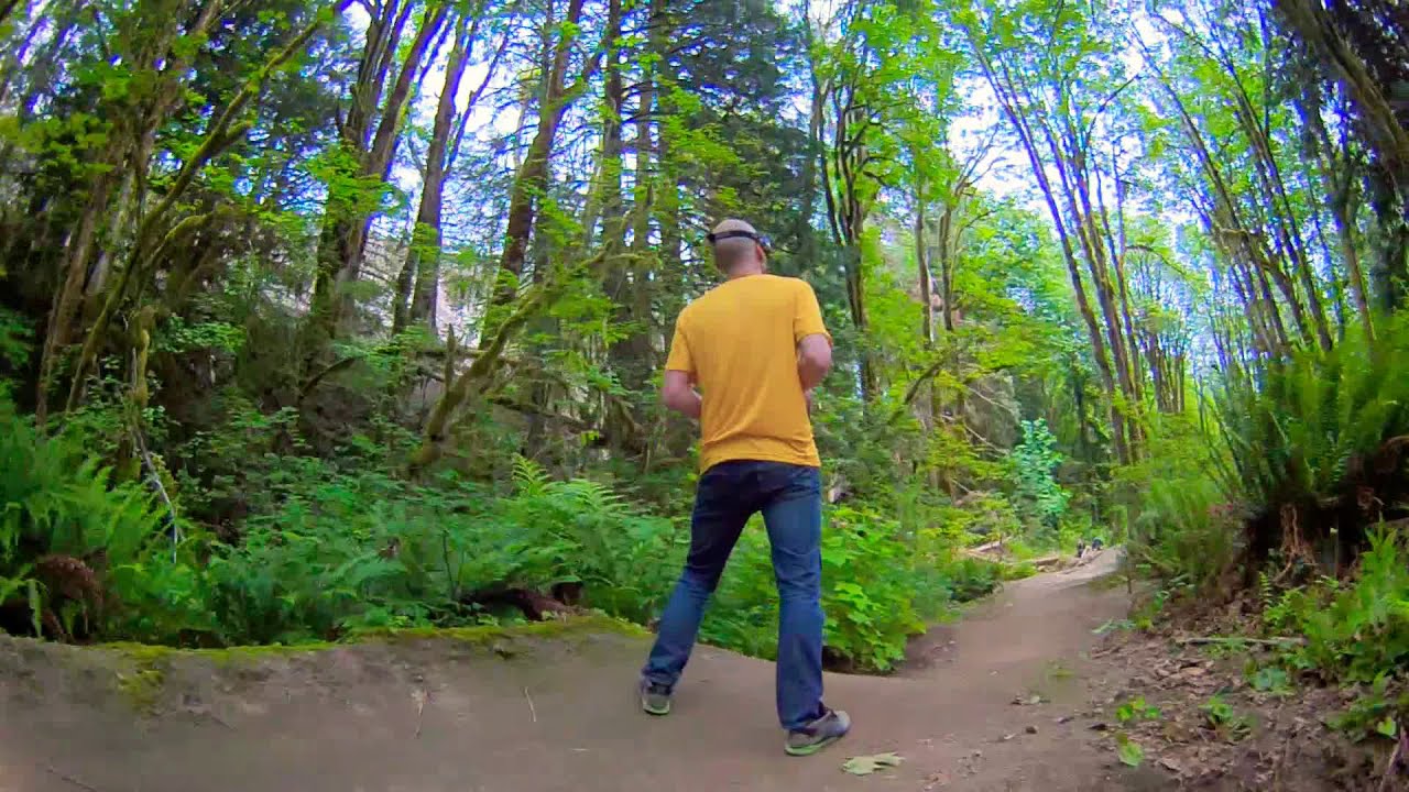 Multi-player FPV Forest sesh 😎