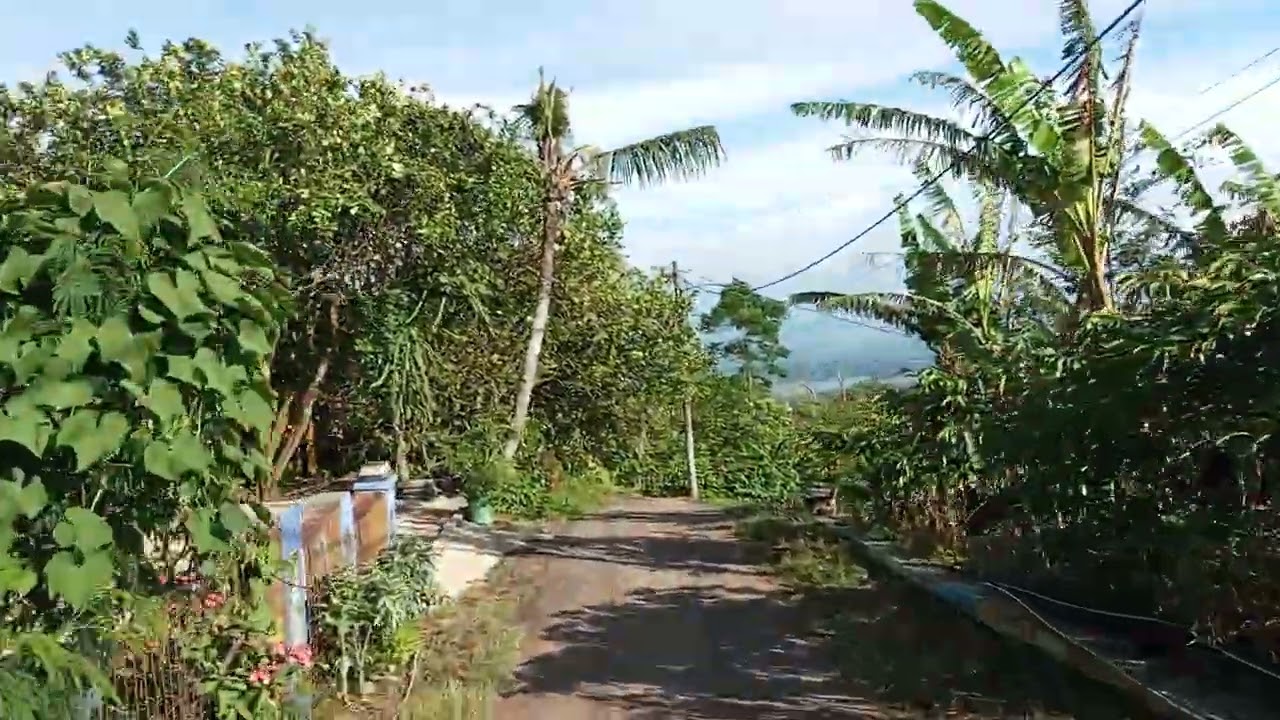 Jalan desa bageng kecamatan gembong di lereng gunung muria