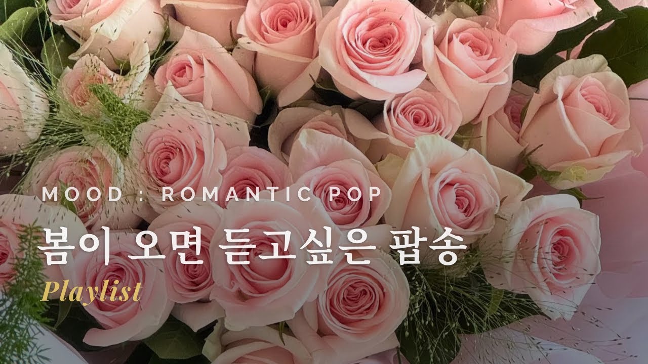 일할때 듣기 좋은 발라드 추천 중간광고없는 노래모음 | dreamy acoustic & indie pop 🌸