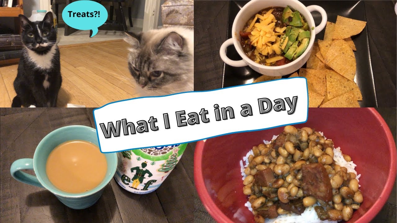 What I eat in a Day | Cat Mom Life | Lazy Day in the Life