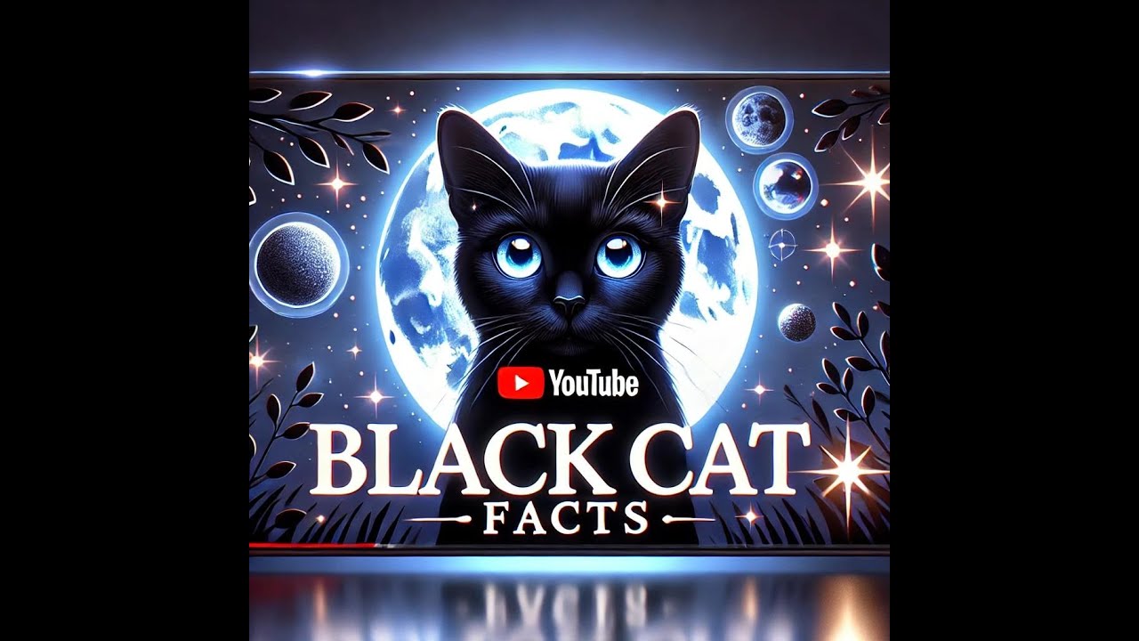 Black Cats Unveiled -10 Facts You Never Knew
