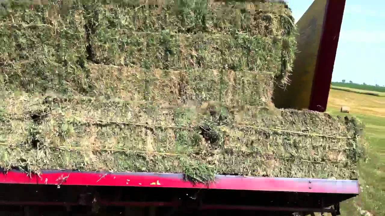 Picking up hay bales