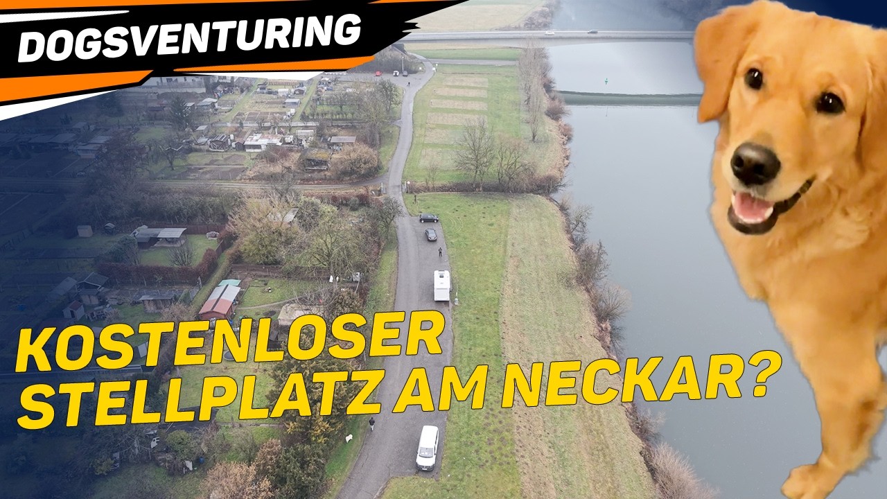 Kostenloser Stellplatz am Neckar? | Unser ehrlicher Check in Obrigheim 🐾