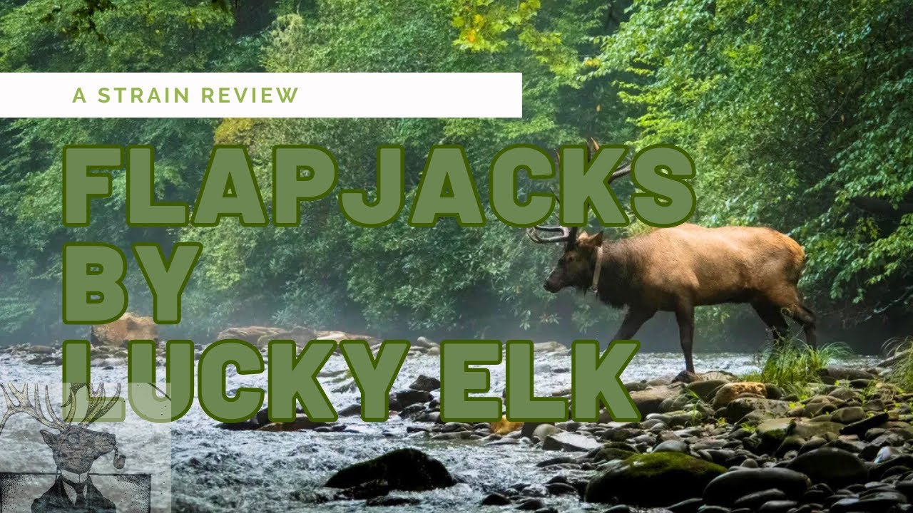 THCA Chronicles: Unpacking Flapjacks: Lucky Elk&rsquo;s Oregon-Grown Gem