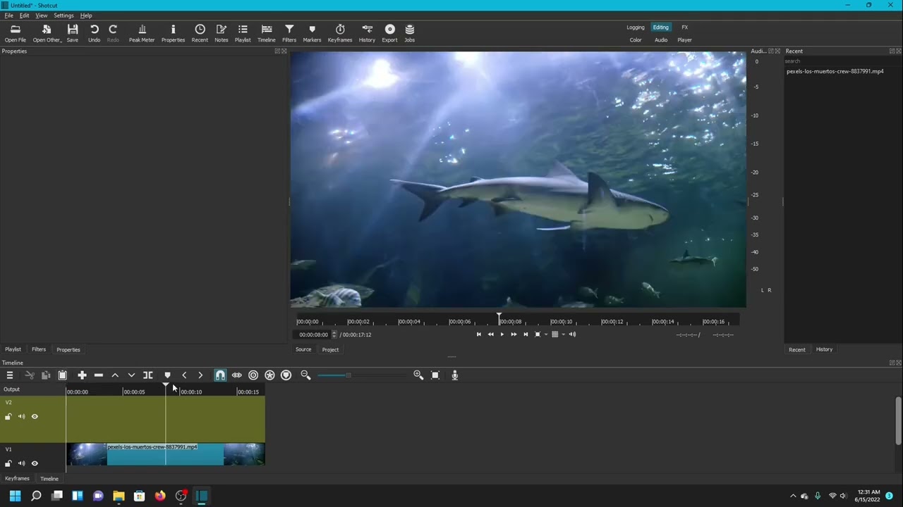 Shotcut Tutorial: Drawing over Video with Glaxnimate