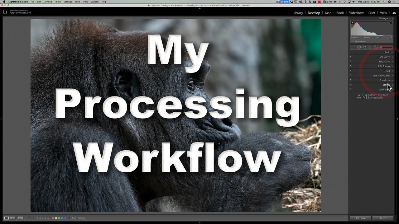 How to Use Topaz DENOISE AI as a LIGHTROOM PLUGIN
