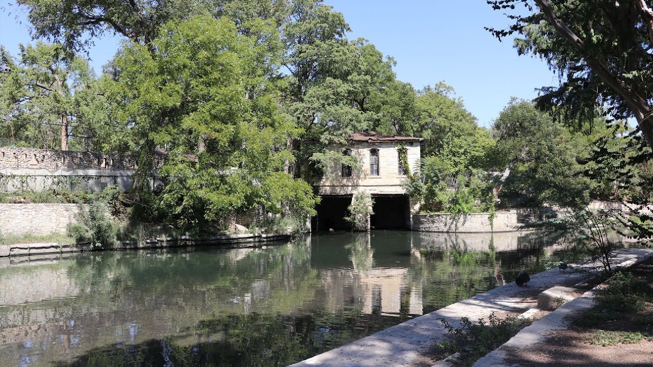 State commission approves Brackenridge Park permits to cut down 48 trees