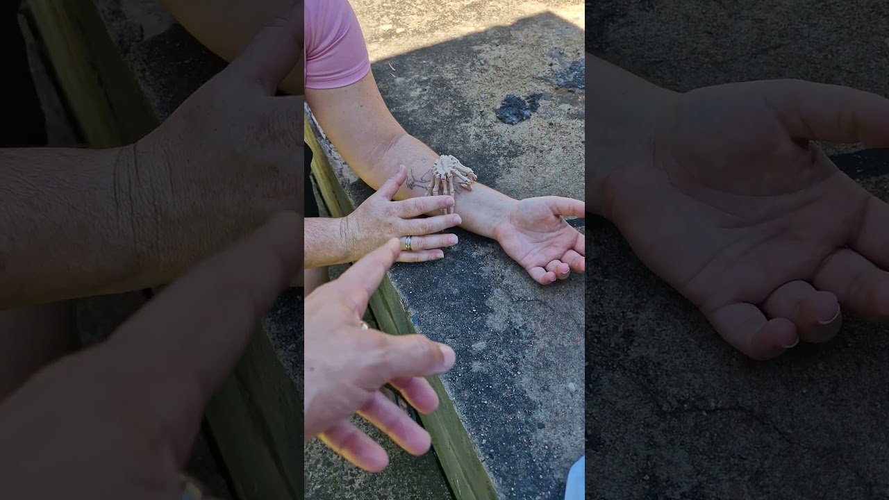 #incinanto #развлечения #snake #encinamentos