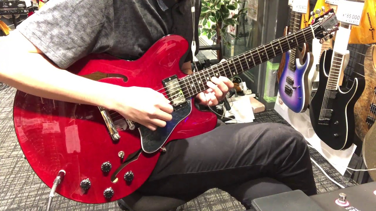 Gibson - ES-335 DOT // Quick Demo