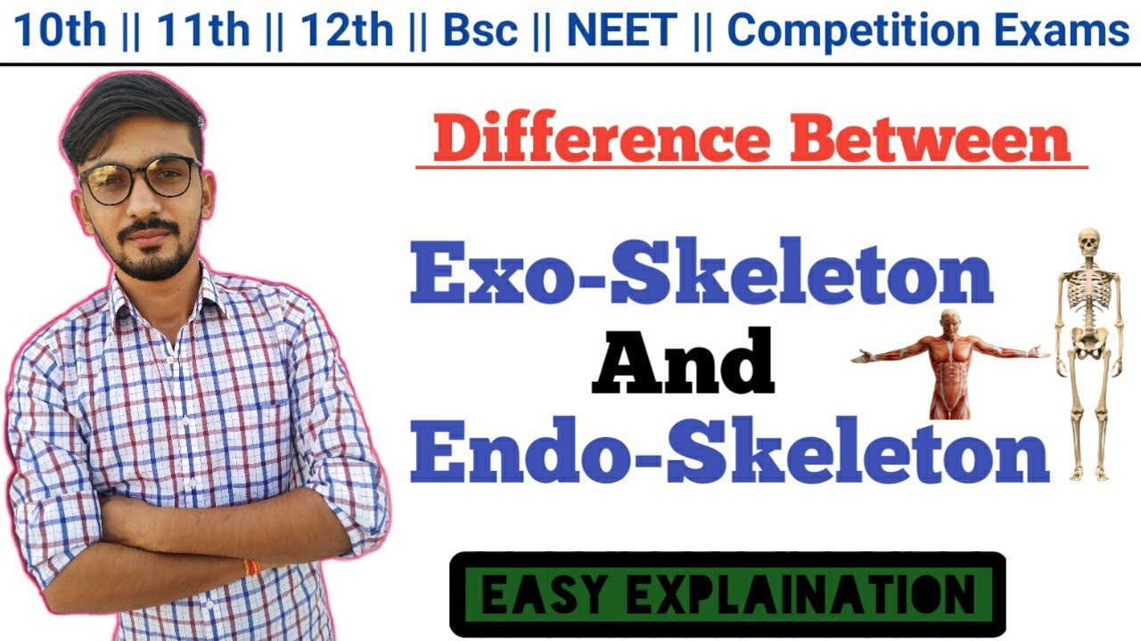 Exo Skeleton And Endo Skeleton In Hindi || Skeleton System || By Dadhich Sir