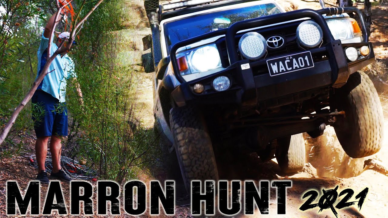 MARRON SEASON 2021||4 WHEELING AND MARKING NEW SPOTS