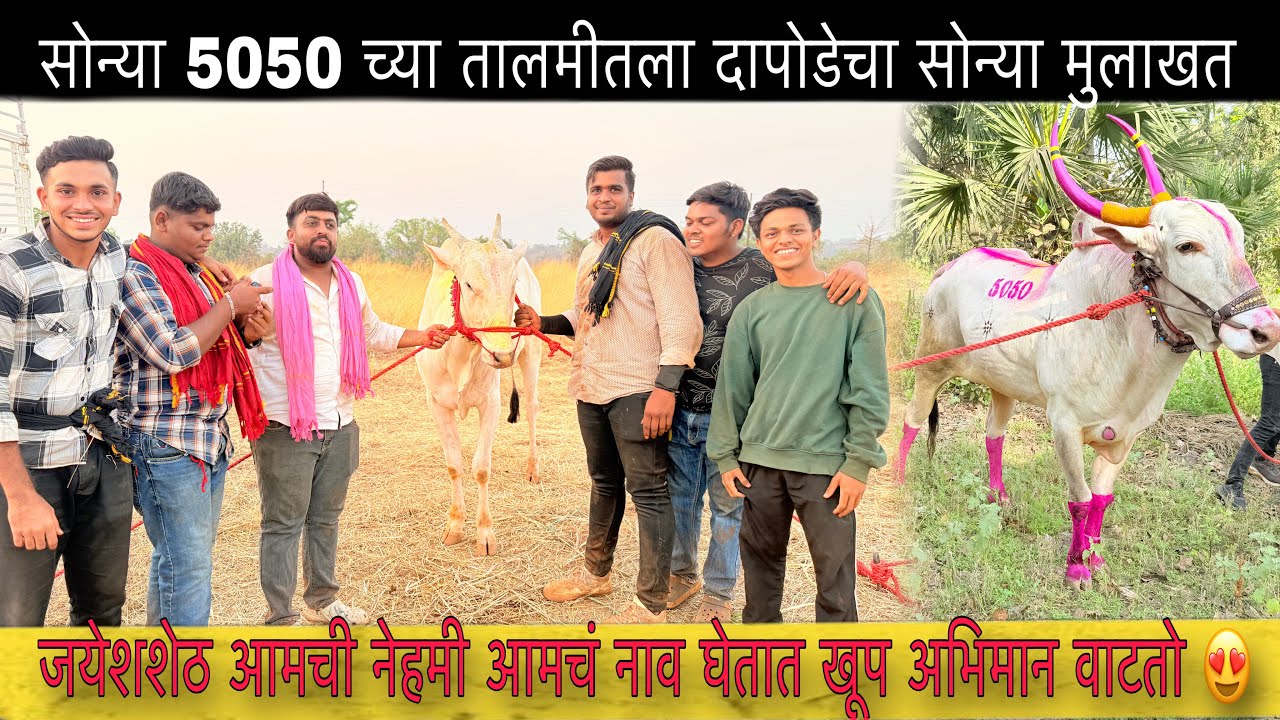 सोन्या 5050 च्या तालमीतला दापोडेचा सोन्या मुलाखत 😍 | आमच्याच दावणीतून सोन्या सोनारपाड्याला गेला💯