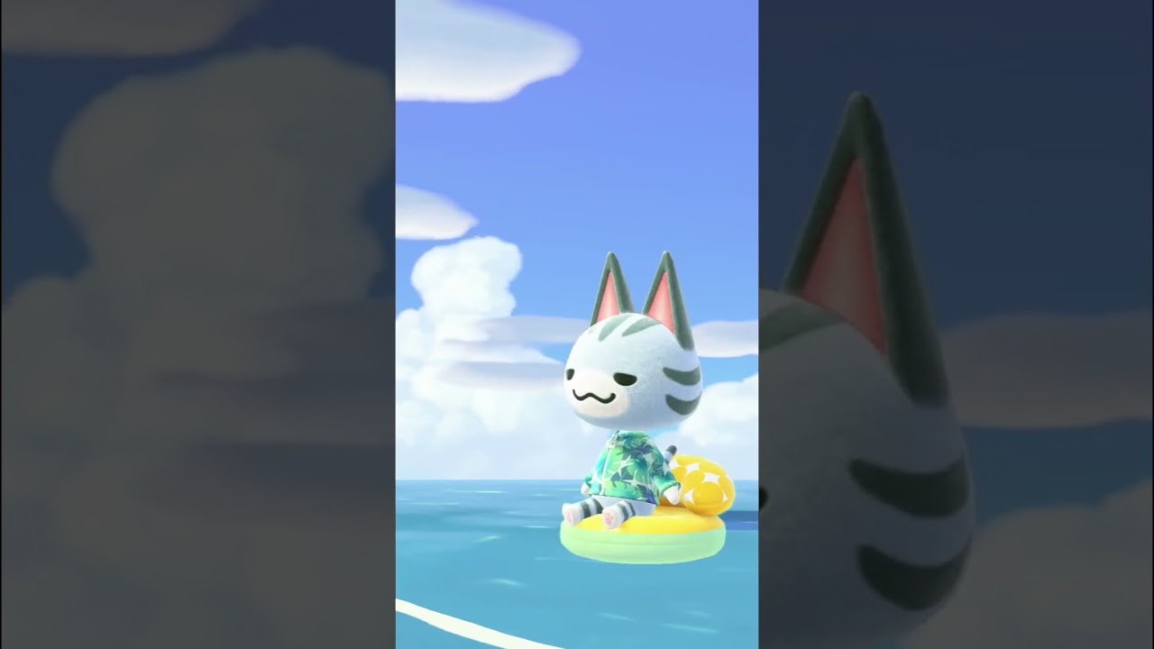 Calm ocean morning vibes 🌤️