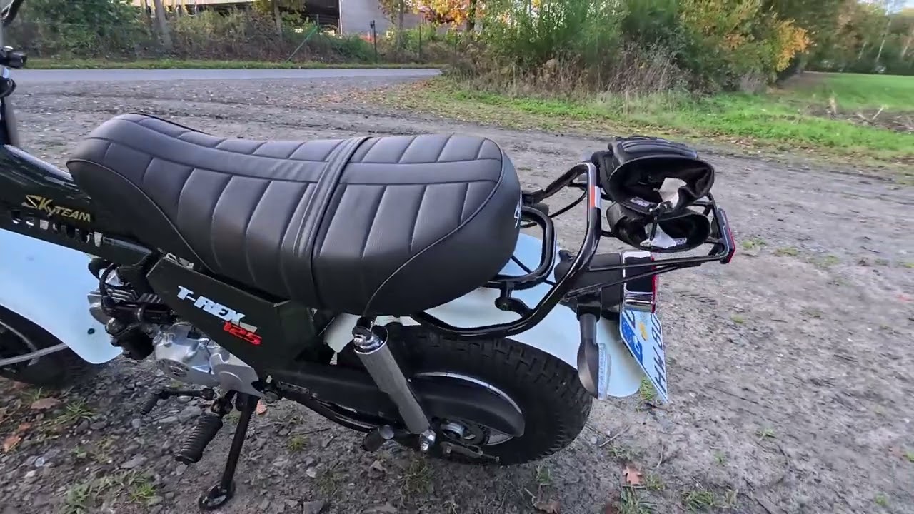  Skyteam T-Rex 125  #125cc #funbike #motorcycle #motorrad 