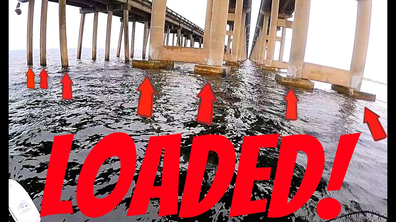 This Bridge Was LOADED!  Catching Mangrove Snapper on Live Shrimp.  Fishing Pensacola Florida!