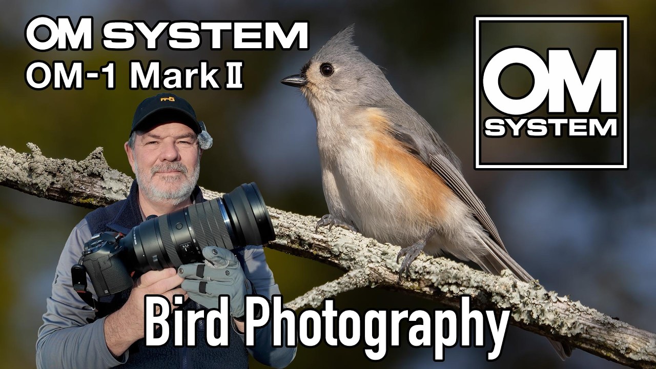 Фотосъемка птиц на камеру OM-1 Mark II с объективом 150-600 мм!