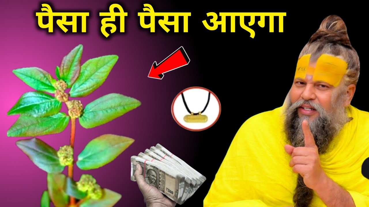 जहां मिले देखते ही तोड़ लेना यह जड़, मात्र 3 दिन में बदल देगी आपकी किस्मत/#Premanand&Maharaj