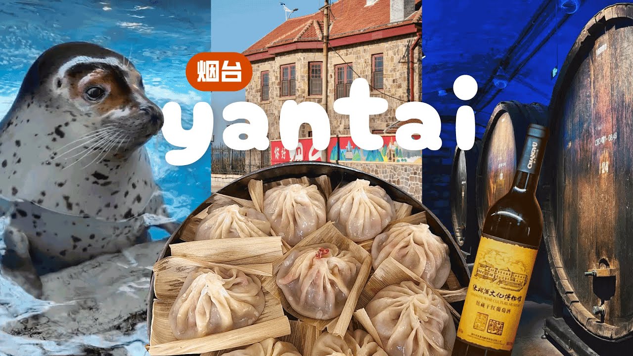 2 дня в Яньтае, Китай 🇨🇳 Популярные у китайцев томатные пельмени, залив с тюленями и музей вина