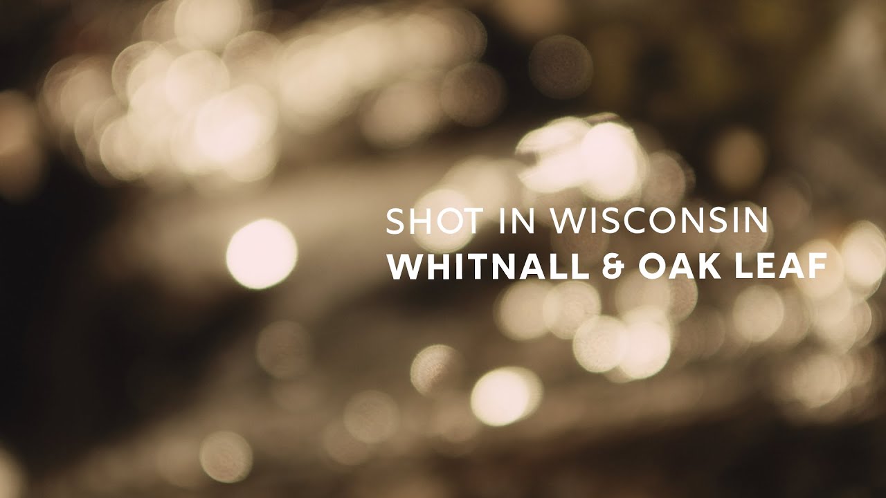 shot in wisconsin | whitnall & oak leaf (4K)