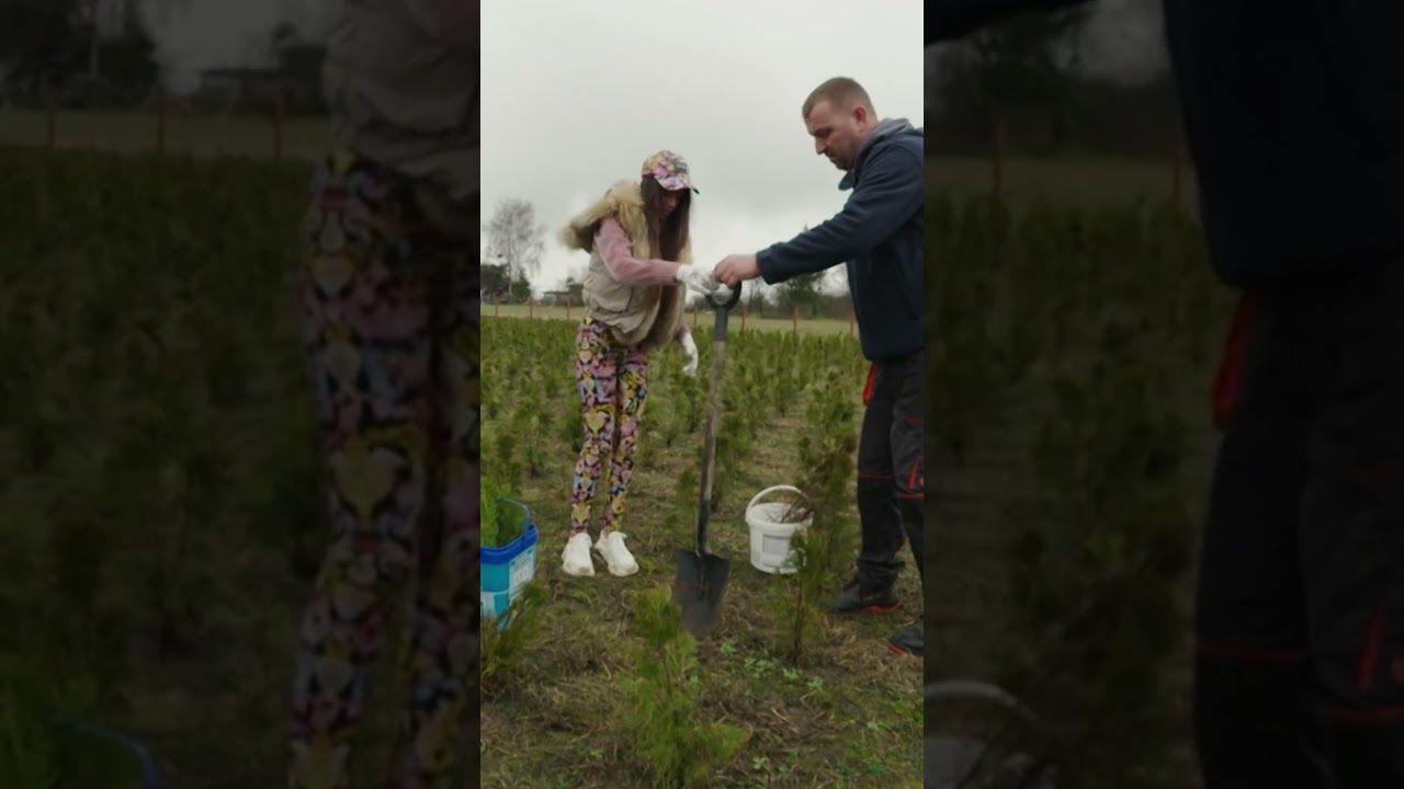 KAZAŁ JEJ SADZIĆ DRZEWA?!😮‍💨| Damy i Wieśniaczki #shorts