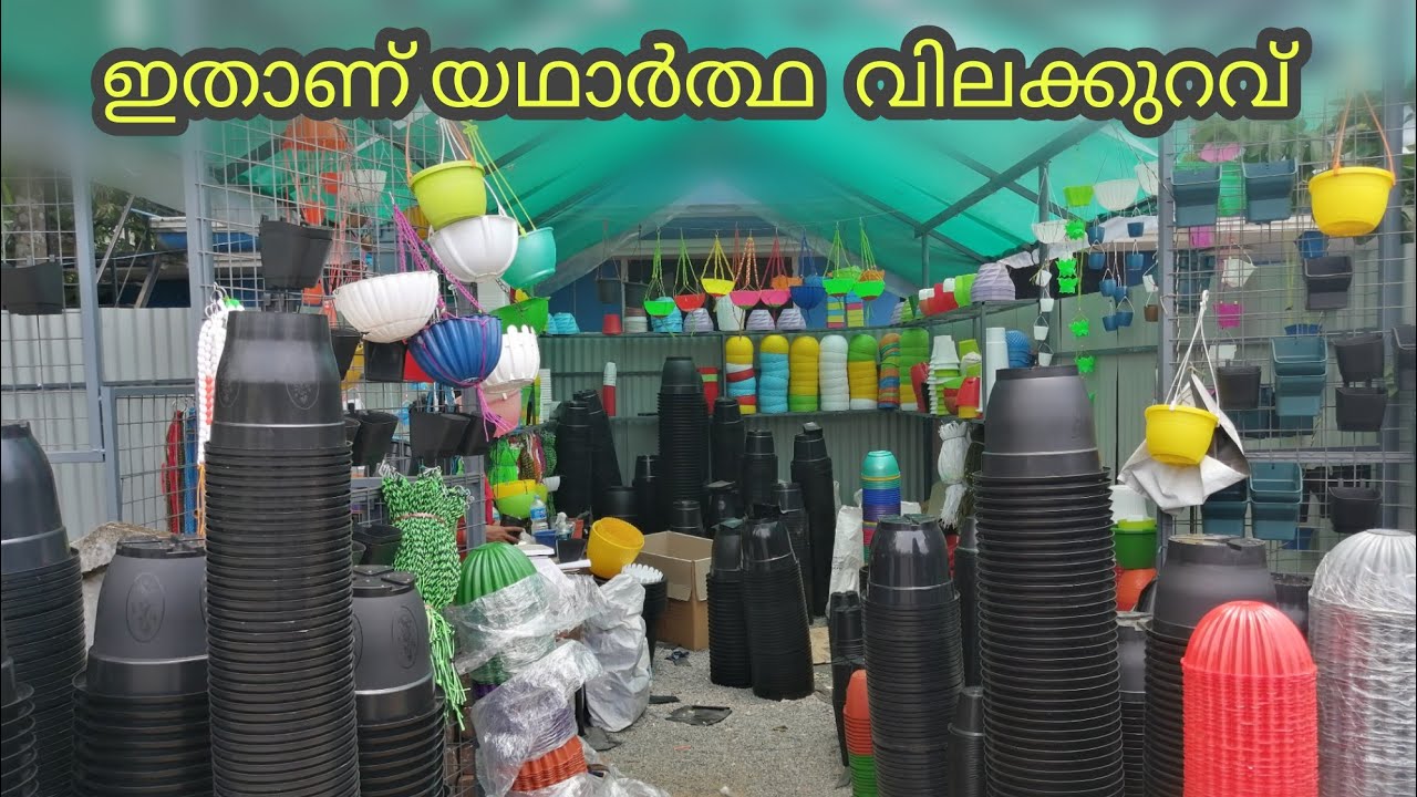 ഇതിനും വിലക്കുറവിൽ ചെടിചെട്ടികൾ കിട്ടില്ല  plant pots garden pots| mannuthy