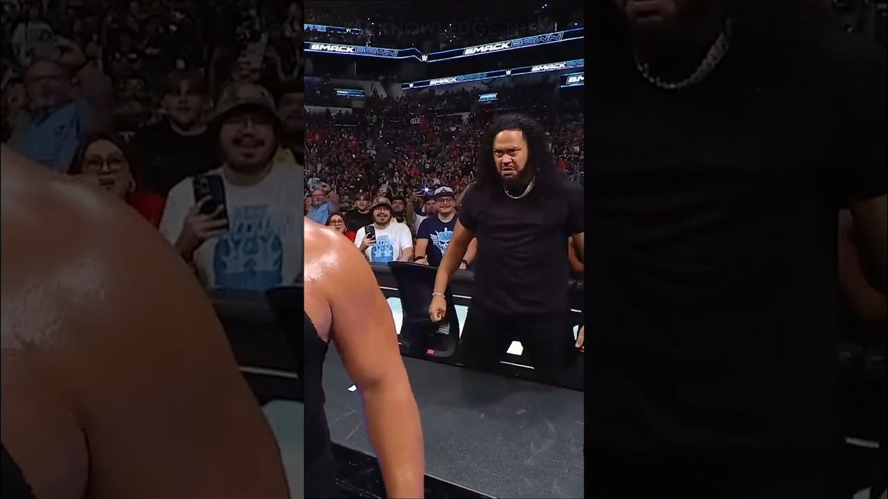 wwe funny dubbing part - 399 🤣