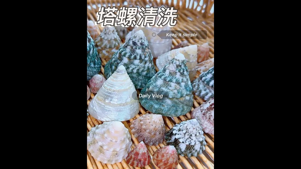 贝壳清洗 | 塔螺 这期草酸和水的比例依旧1:1，泡珠光色塔螺之前建议先用84泡一个晚上，但是84和草酸不可混合使用哦会产生有毒气体#强烈推荐 #解压#清洗#小技巧分享 #贝壳