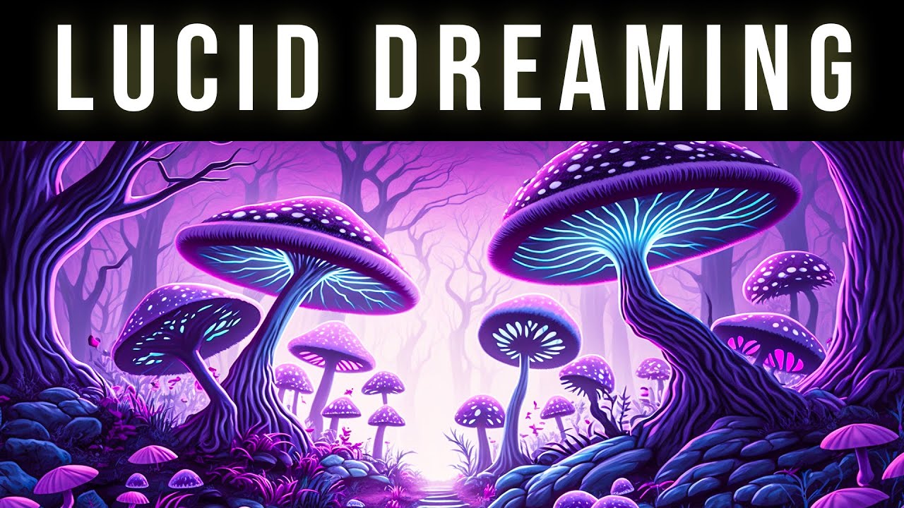 Enter REM Sleep Cycle & Control Your Dreams | Lucid Dream Binaural Beats REM Music For Vivid Dreams