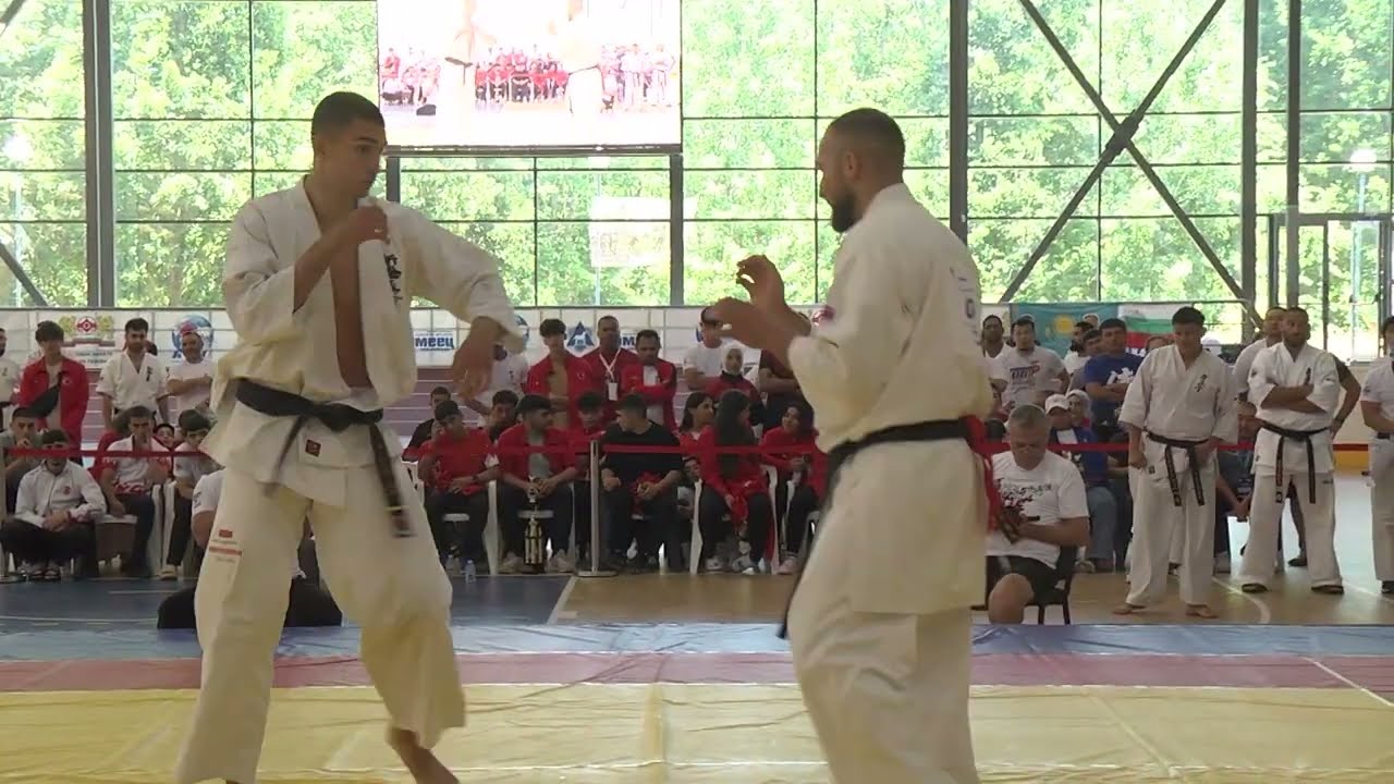 Anjey Kinzerskiy Kazakhstan WKO vs  Hovhannes Sargysyan Armenia IFK