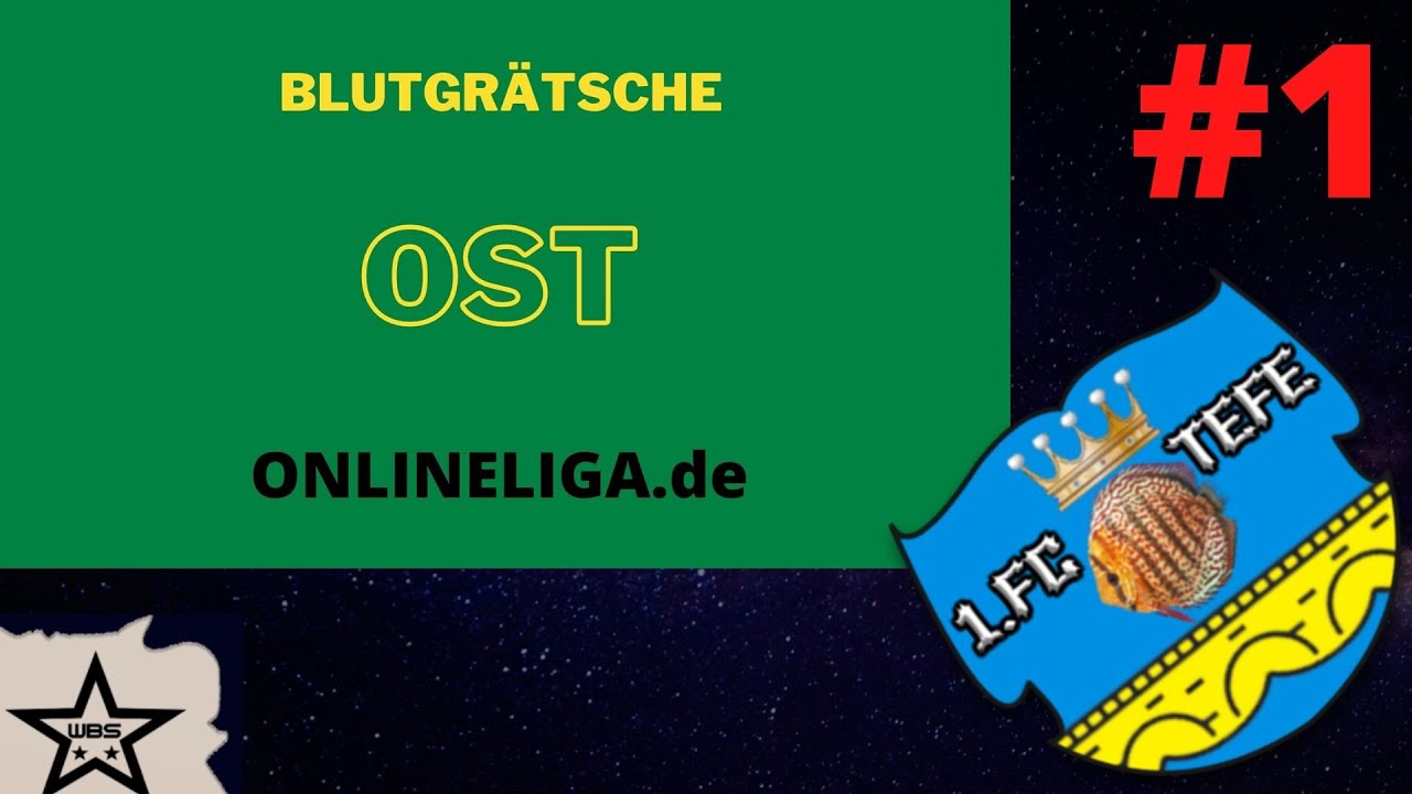 FC Tefe Königsbrück Blutgrätsche Ost #1 onlineliga.de
