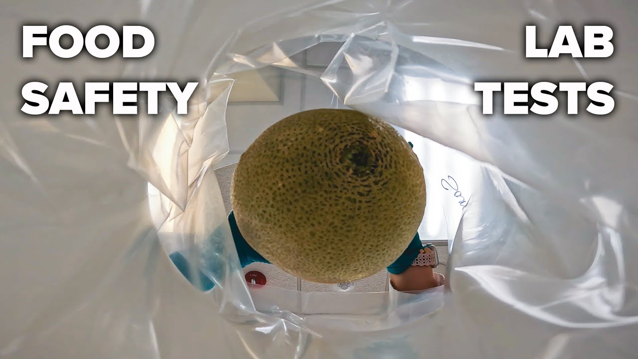 Testing for Salmonella in Melons