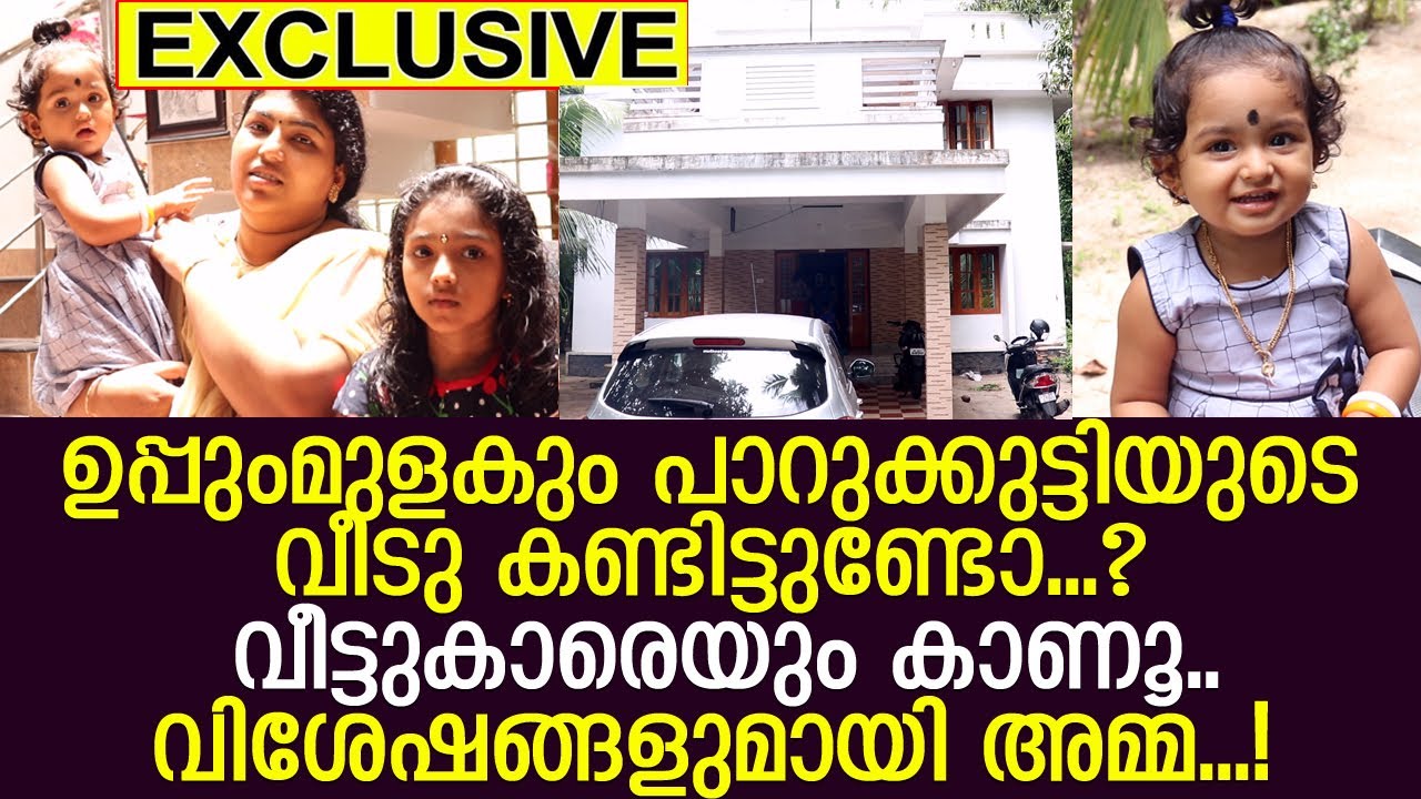 പാറുക്കുട്ടിയുടെ വിശേഷങ്ങളുമായി സിനി ലൈഫ് അഭിമുഖം l Baby Ameya l Interview Part 1