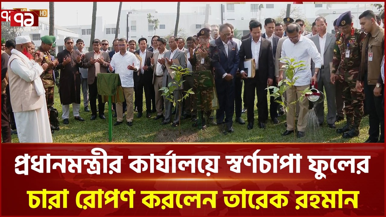 প্রধানমন্ত্রীর কার্যালয়ে স্বর্ণচাপা ফুলের চারা রোপণ করলেন তারেক রহমান | Prime Minister | Ekattor TV