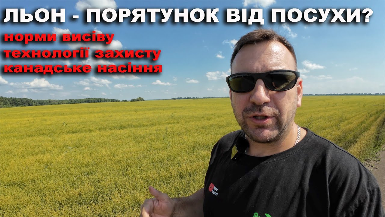 Збільшуються площі посіву льону в Україні. Технологія захисту льону, гербіцид, фунгіцід, добрива
