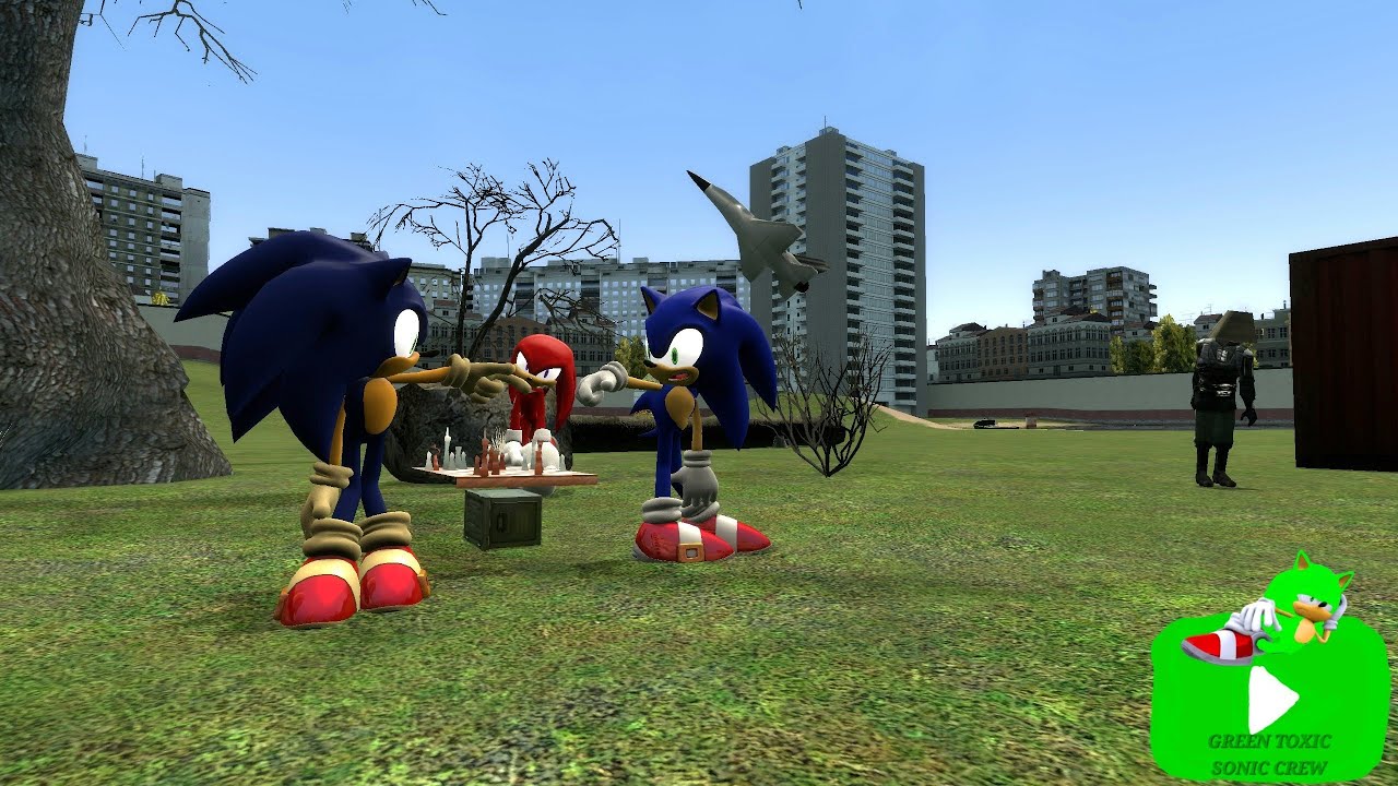 Sonic Black disguises as Sonic