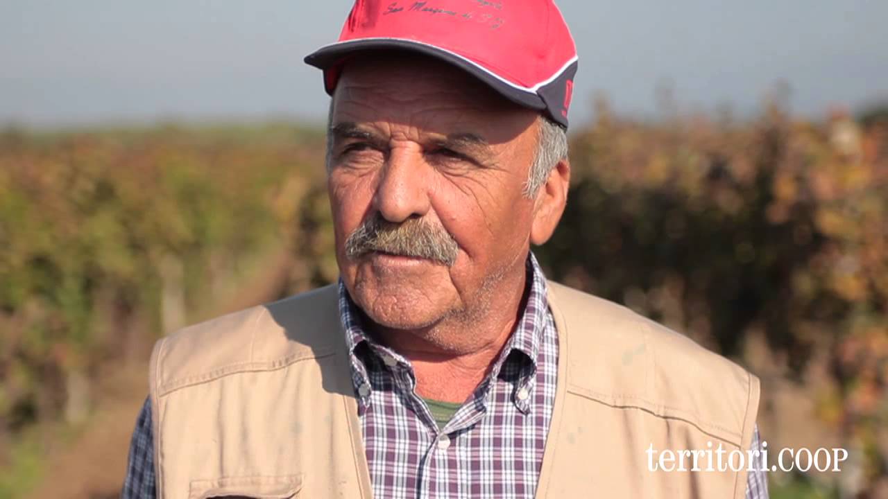 Terre di Sava: opportunità di cambiamento