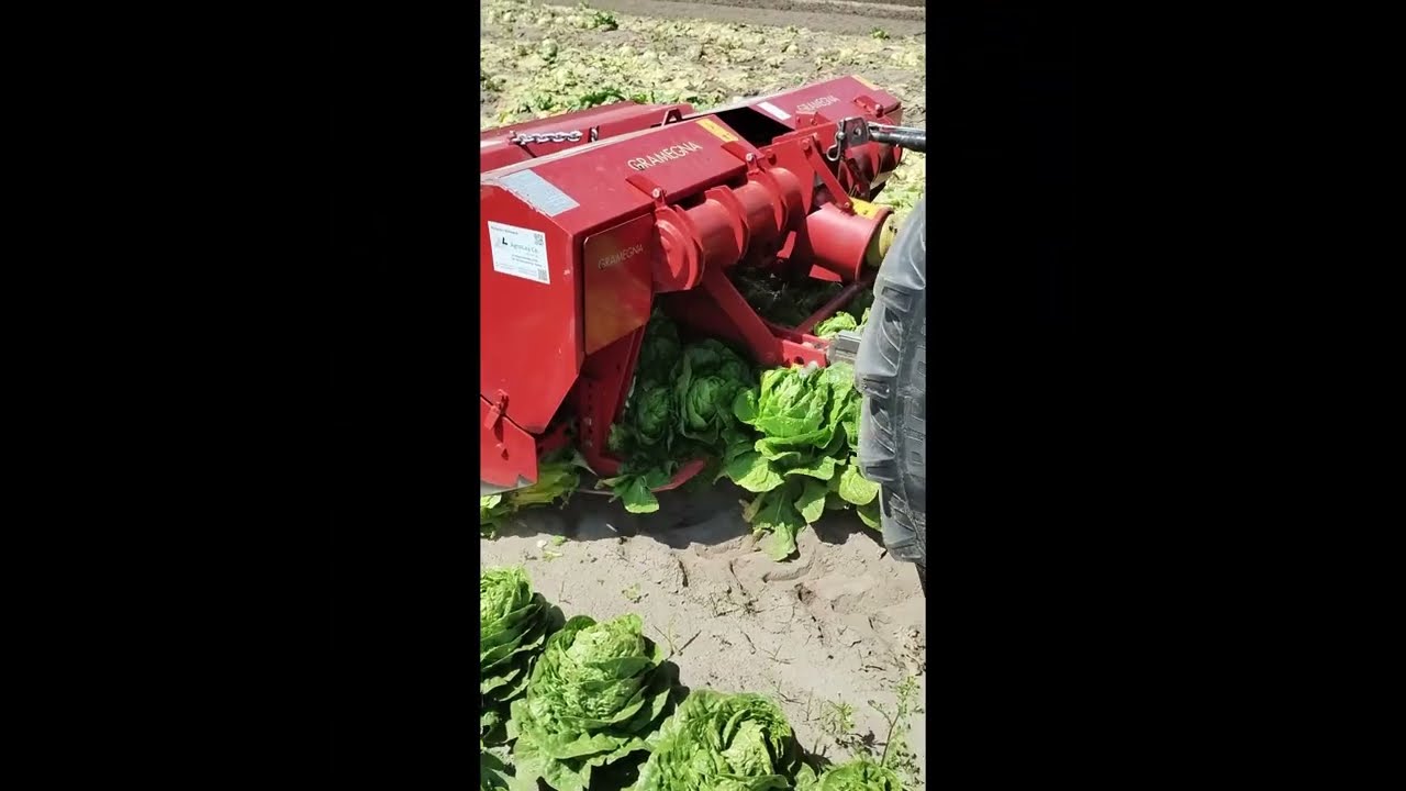 Łopata mechaniczna, szpadel mechaniczny GRAMEGNA