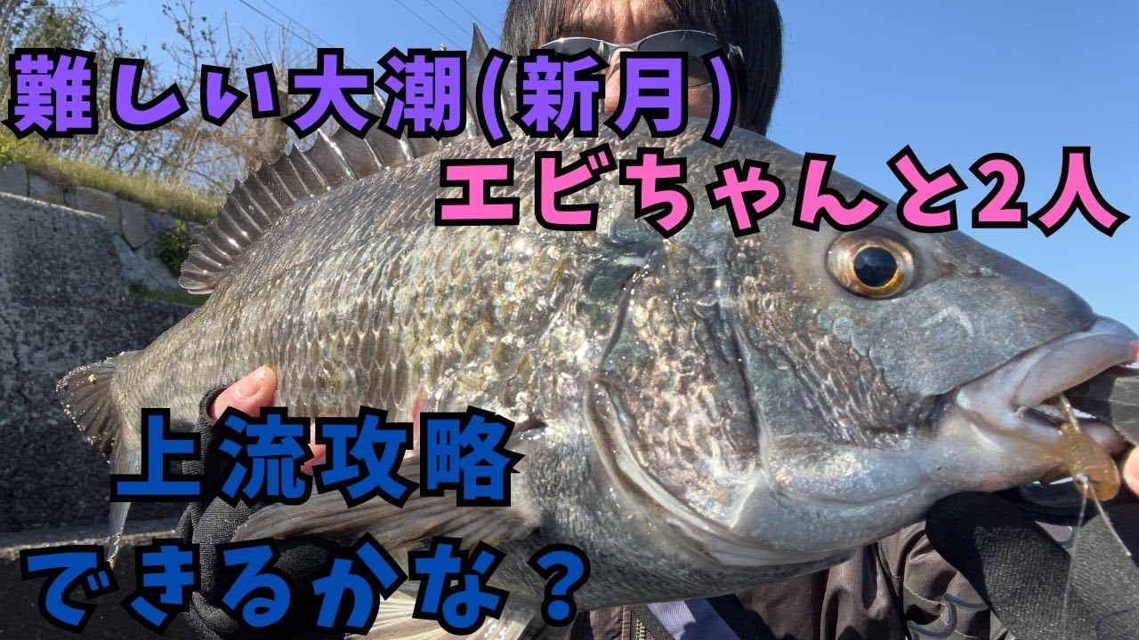 【チニング】ゼロチヌ　season3　大潮の新月は難しいんですよ【チヌ】