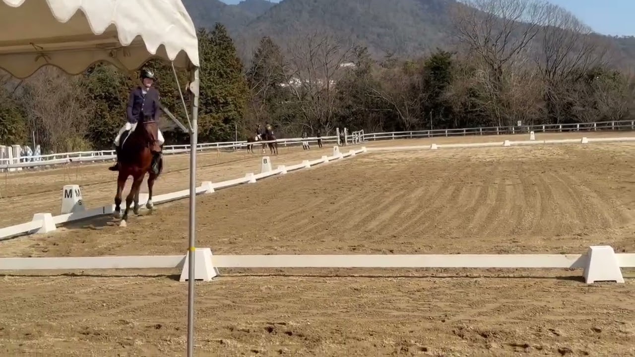 2026/2/14 県大会 白井選手(清天) 2C