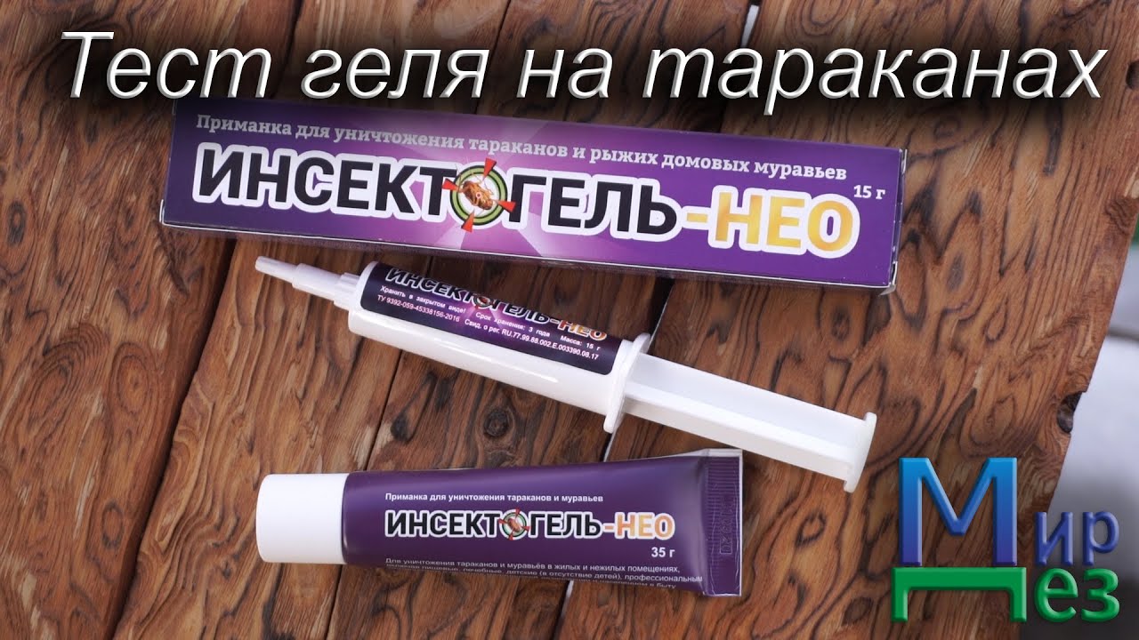 Гель от тараканов. Инсектогель НЕО. Тест от МирДез