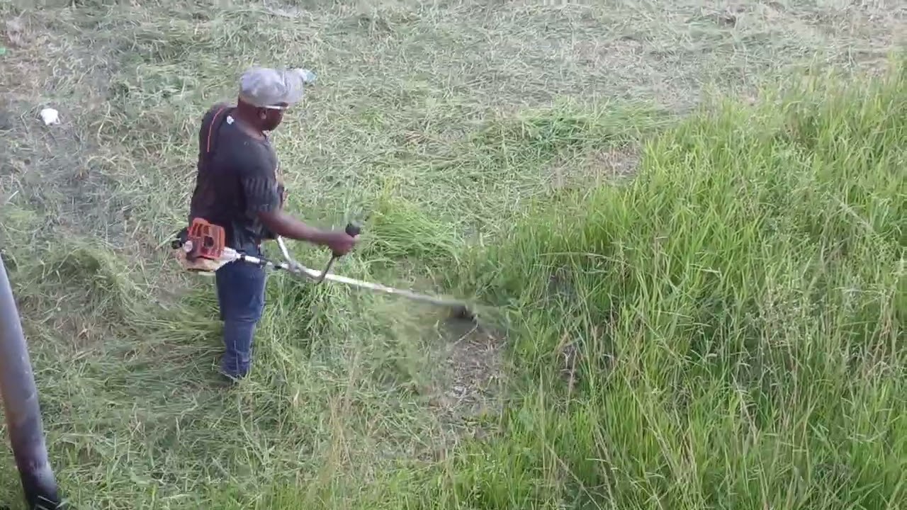 19 de fevereiro de 2026