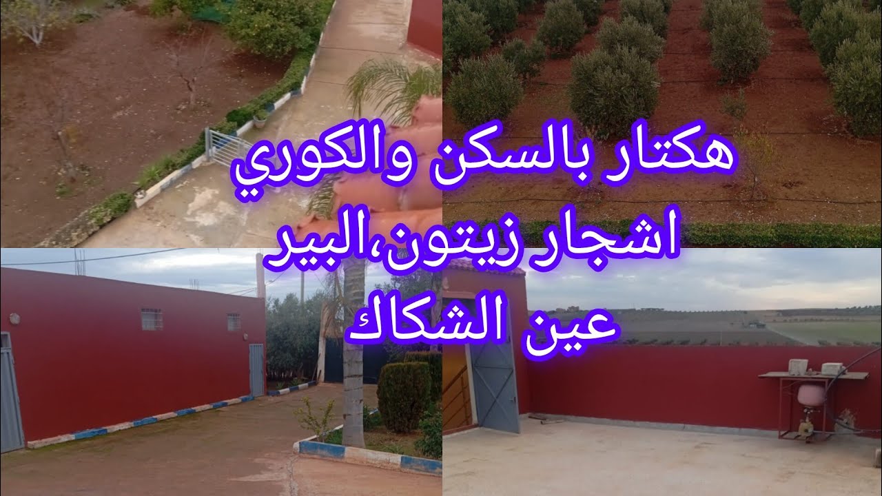 هكتار بالسكن ديالو واشجار زيتون ،الماء والضوء والبير والكوارا،اعمود عين الشكاك ،0631303612