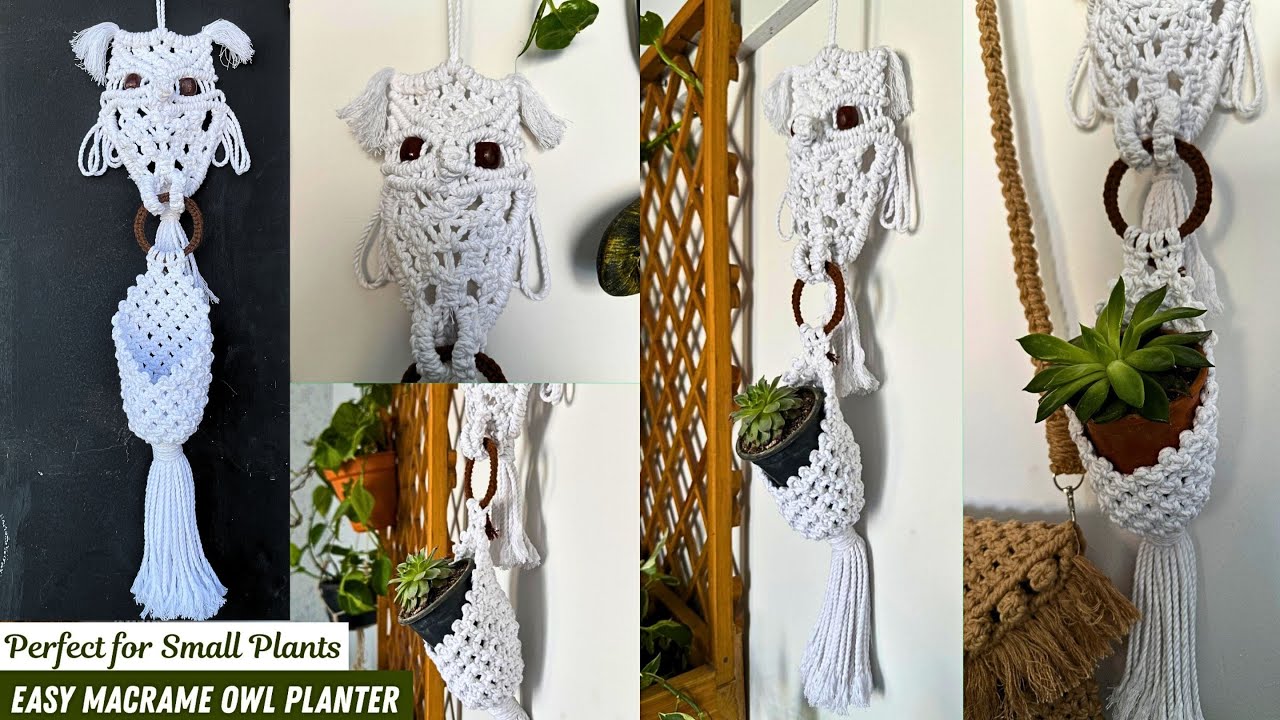 Easy Macrame Owl Planter | Perfect for Small Plants