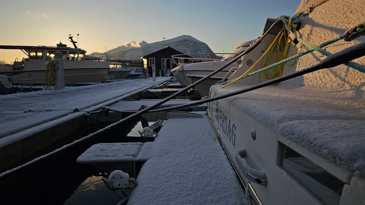 Viksund st Cruz  320 - Båtliv i Møre & Romsdal
