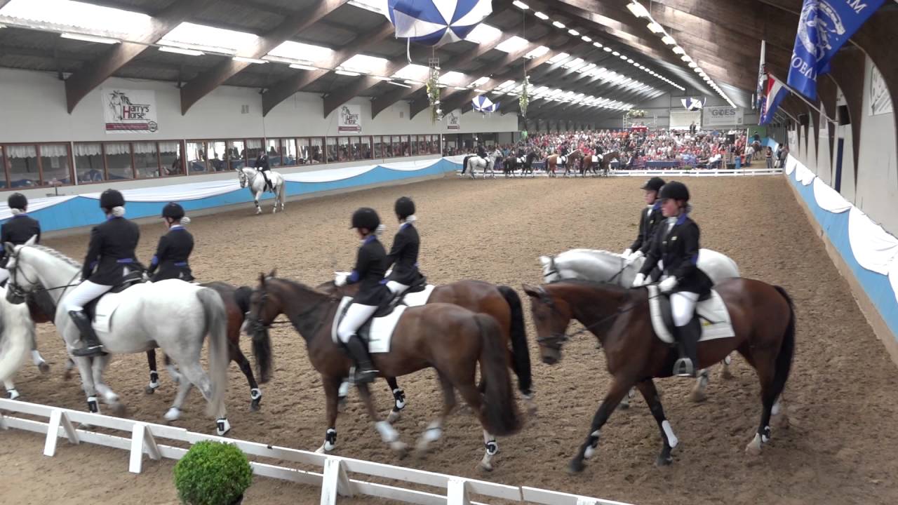 NK carrousel 2016 - Ponycarrousel Zonnehoeve