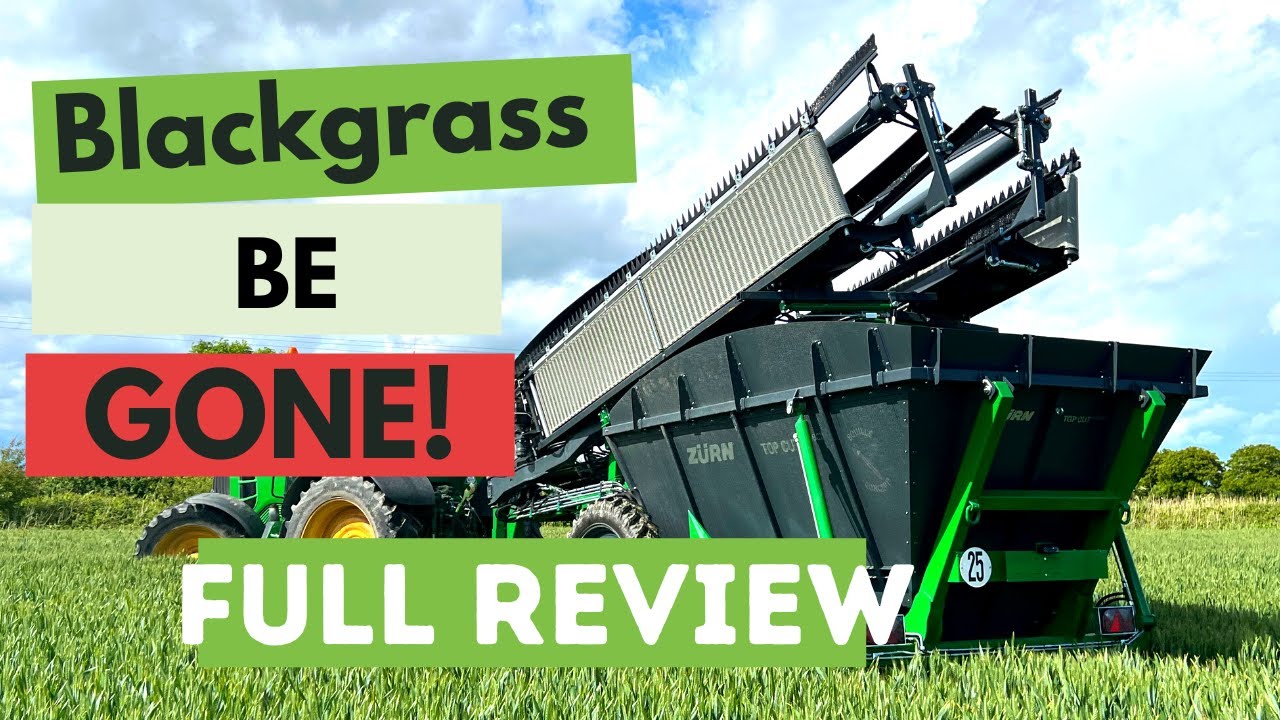 weed control in agriculture - blackgrass weed control in agriculture/wheat fields