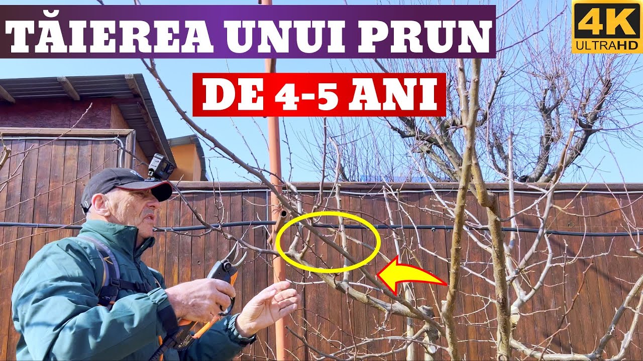 Весенняя ОБРЕЗКА на ЧРУНЕ 4-5 лет 🌳✂️