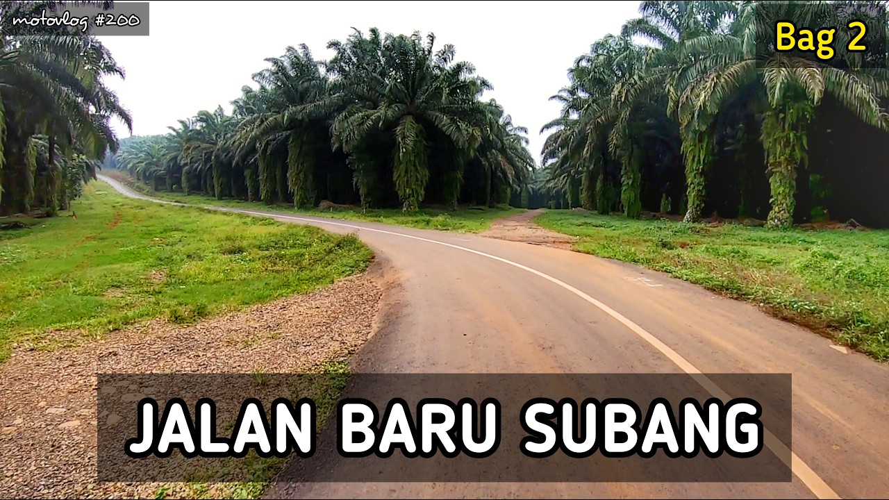 Jalan Baru Subang Cipeundeuy Serangpanjang Bag 2 : Cikadu Bukit Nyomot Serangpanjang