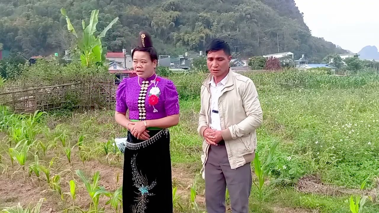 Hát thái Hồng Thơm vs anh Nui#hatthai #hatthaisonla